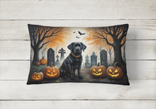 Load image into Gallery viewer, Black Labrador Retriever Spooky Halloween Fabric Decorative Pillow