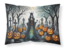 Load image into Gallery viewer, Evil Queen Spooky Halloween Fabric Standard Pillowcase – Artistic Decorative Front, White Back