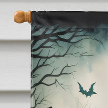 Load image into Gallery viewer, La Llorona Skeleton Spooky Halloween House Flag