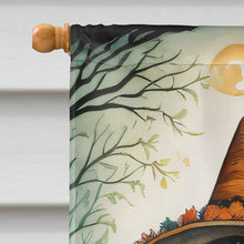 Load image into Gallery viewer, La Llorona Skeleton Spooky Halloween House Flag