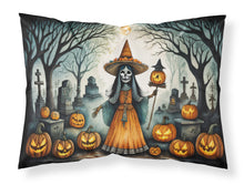 Load image into Gallery viewer, La Llorona Skeleton Spooky Halloween Fabric Standard Pillowcase – Artistic Decorative Front, White Back