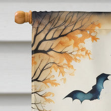 Load image into Gallery viewer, Mariachi Skeleton Band Spooky Halloween House Flag