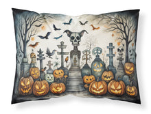 Load image into Gallery viewer, Pet Cemetery Spooky Halloween Fabric Standard Pillowcase – Artistic Decorative Front, White Back