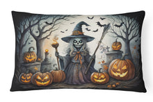 Load image into Gallery viewer, Witch Spooky Halloween Fabric Decorative Pillow