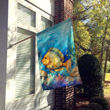 Load image into Gallery viewer, Flounder House Flag
