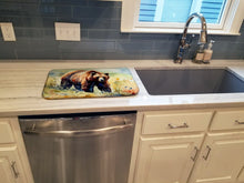 Load image into Gallery viewer, Grizzly Bear Dish Drying Mat