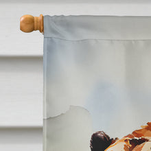 Load image into Gallery viewer, Grizzly Bear House Flag