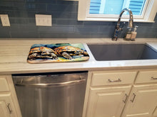 Load image into Gallery viewer, Turtles Tortoises Dish Drying Mat