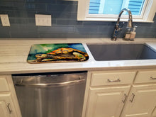 Load image into Gallery viewer, Turtles Tortoises Dish Drying Mat