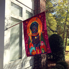 Load image into Gallery viewer, Black Briard Holiday Christmas House Flag