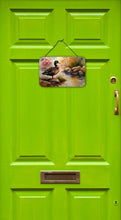 Load image into Gallery viewer, American Black Duck Wall or Door Hanging Prints