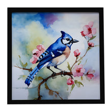Load image into Gallery viewer, Blue Jay Framed Metal Print