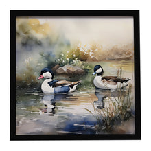 Load image into Gallery viewer, Bufflehead Framed Metal Print