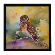 Load image into Gallery viewer, Burrowing Owl Framed Metal Print