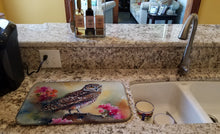 Load image into Gallery viewer, Burrowing Owl Dish Drying Mat