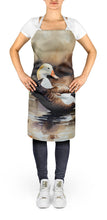 Load image into Gallery viewer, Common Eider Duck Apron – Artist-Designed Kitchen, BBQ &amp; Craft Apron