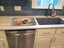 Load image into Gallery viewer, Elf Owl Dish Drying Mat