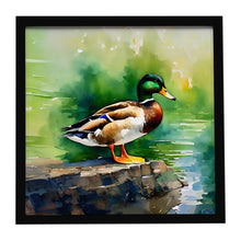 Load image into Gallery viewer, Mallard Framed Metal Print