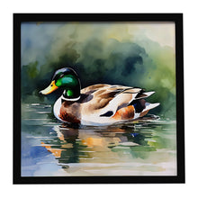 Load image into Gallery viewer, Mallard Framed Metal Print
