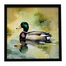 Load image into Gallery viewer, Mallard Framed Metal Print