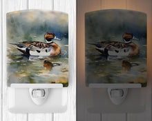 Load image into Gallery viewer, Northern Pintail Ceramic Night Light