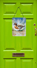 Load image into Gallery viewer, Northern Pintail Wall or Door Hanging Prints