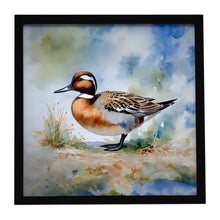 Load image into Gallery viewer, Northern Pintail Framed Metal Print