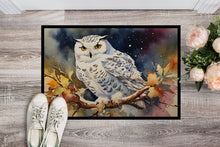 Load image into Gallery viewer, Snowy Owl Doormat-24x36 Indoor / Outdoor Rug | Made in USA