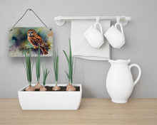 Load image into Gallery viewer, Tawny Owl Wall or Door Hanging Prints