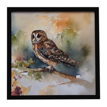 Load image into Gallery viewer, Tawny Owl Framed Metal Print