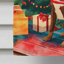 Load image into Gallery viewer, Chesapeake Bay Retriever Christmas House Flag