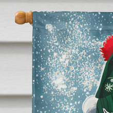 Load image into Gallery viewer, Nova Scotia Duck Toller Christmas House Flag