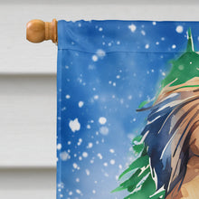 Load image into Gallery viewer, Pekingese Christmas House Flag