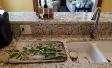 Load image into Gallery viewer, Christmas Mistletoe Dish Drying Mat