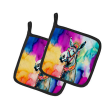 Load image into Gallery viewer, Hippie Animal Donkey Pot Holders - Set of 2 Decorative Kitchen Helpers | Made in the USA