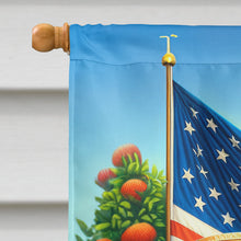 Load image into Gallery viewer, All American Chow Chow House Flag