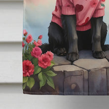 Load image into Gallery viewer, Newfoundland Two Hearts House Flag