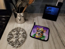 Load image into Gallery viewer, Australian Cattle Dog King of Mardi Gras Pot Holders - Set of 2 Decorative Kitchen Helpers | Made in the USA
