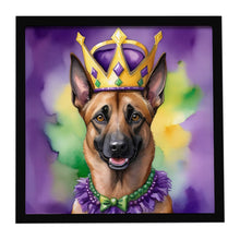 Load image into Gallery viewer, Belgian Malinois King of Mardi Gras Framed Metal Print