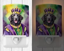 Load image into Gallery viewer, Curly-Coated Retriever King of Mardi Gras Ceramic Night Light