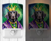 Load image into Gallery viewer, Flat-Coated Retriever King of Mardi Gras Ceramic Night Light