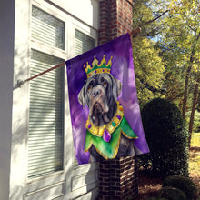 Load image into Gallery viewer, Neapolitan Mastiff King of Mardi Gras House Flag