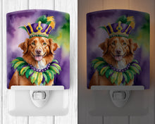 Load image into Gallery viewer, Nova Scotia Duck Tolling Retriever King of Mardi Gras Ceramic Night Light
