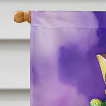 Load image into Gallery viewer, Alligator King of Mardi Gras House Flag