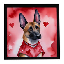 Load image into Gallery viewer, Belgian Malinois My Valentine Framed Metal Print