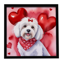 Load image into Gallery viewer, Coton de Tulear My Valentine Framed Metal Print