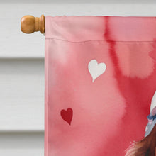 Load image into Gallery viewer, Irish Setter My Valentine House Flag
