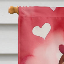 Load image into Gallery viewer, Irish Setter My Valentine House Flag