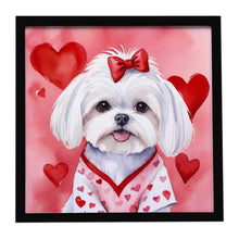 Load image into Gallery viewer, Maltese My Valentine Framed Metal Print