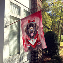 Load image into Gallery viewer, Newfoundland My Valentine House Flag